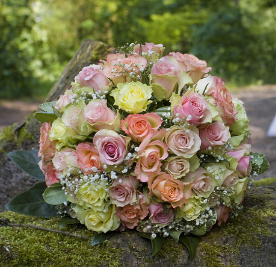 Misrak event and decor